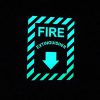 Cable Protector Works Elasco Products FIRE EXIT Sign Glow Photo luminescent